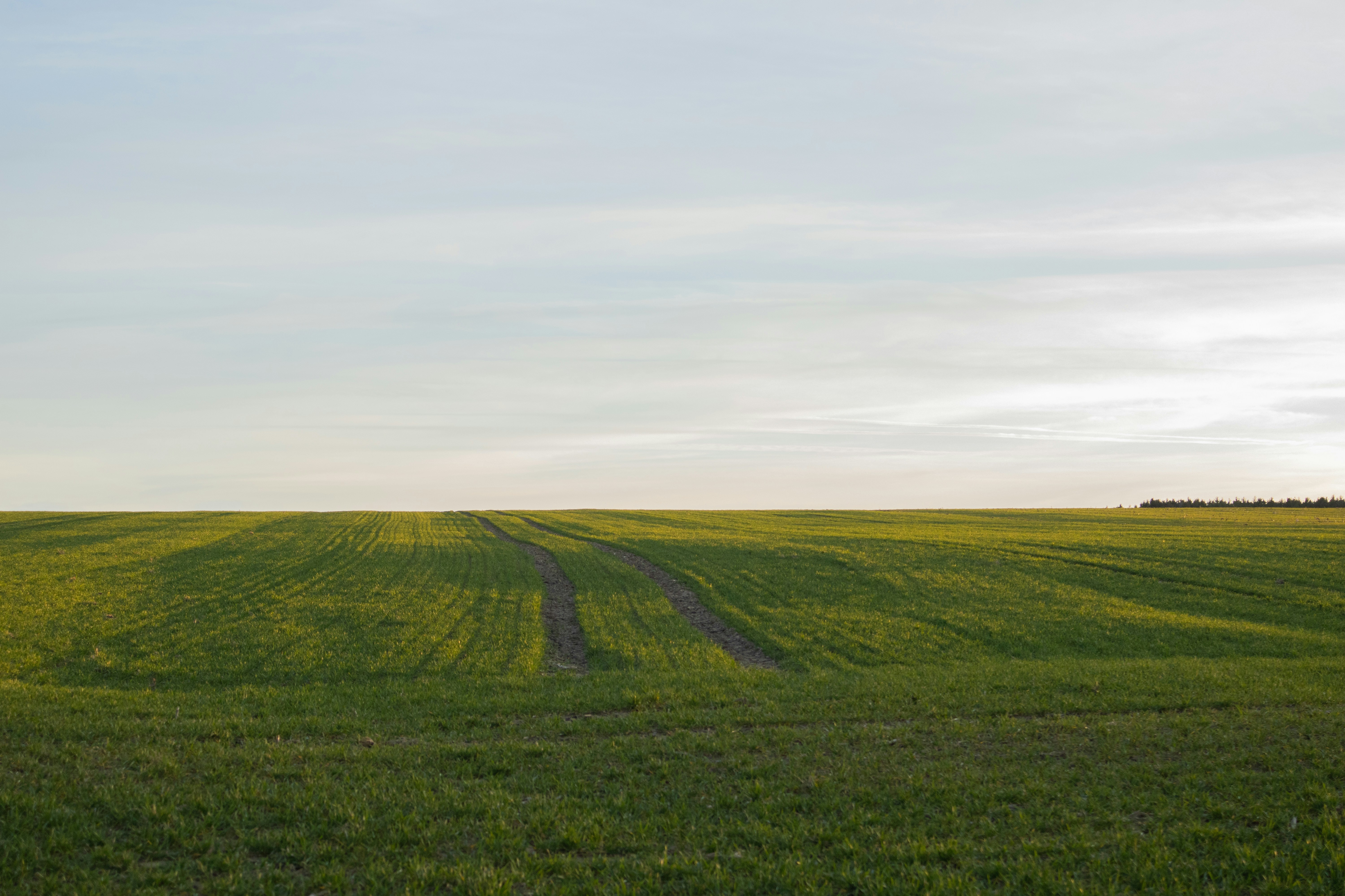 Special Offer: 5% Discount